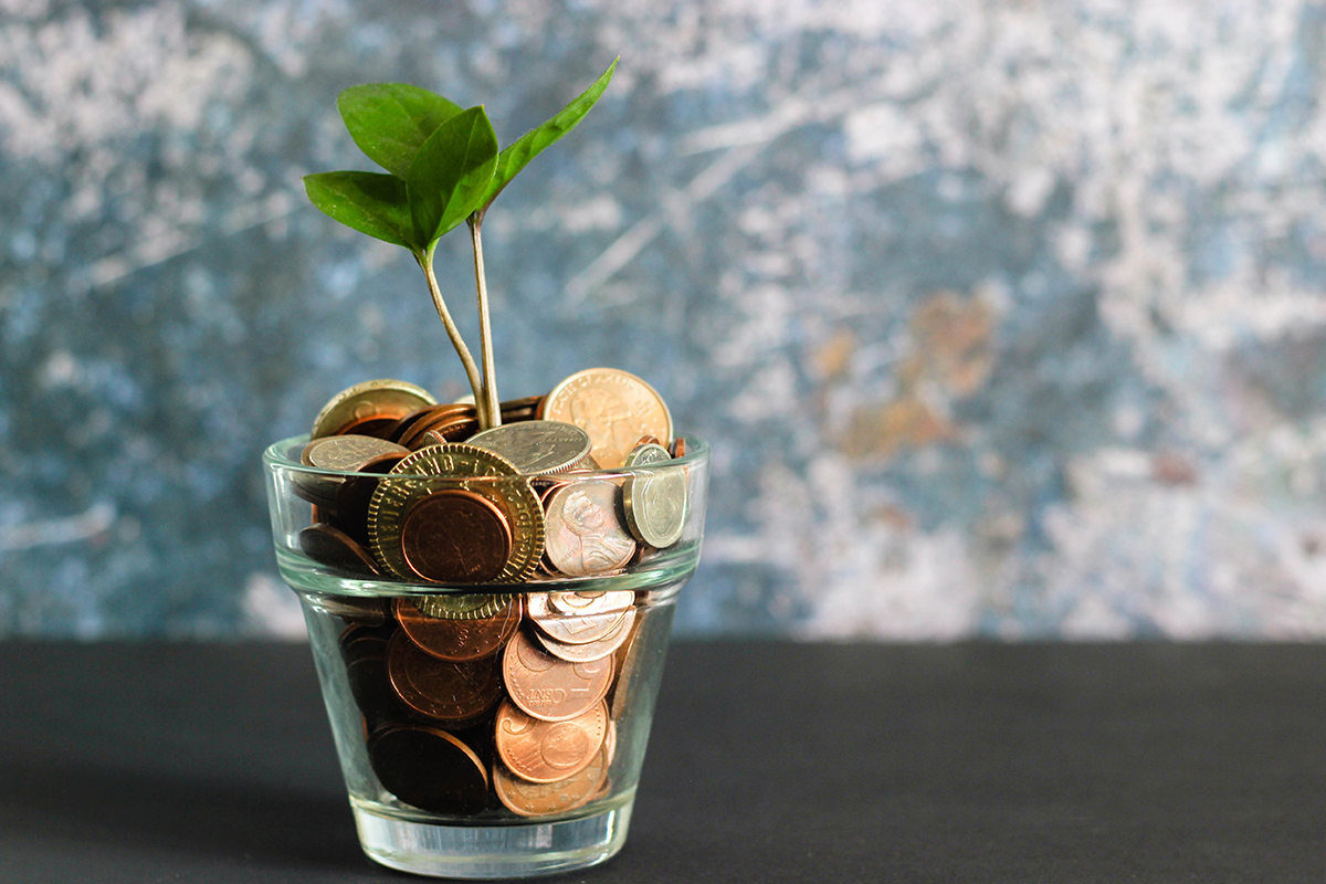 Finding a cannabis credit card processing company may not be that easy.