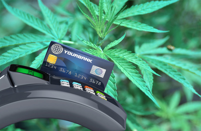 MMJ Credit Card Processing Company